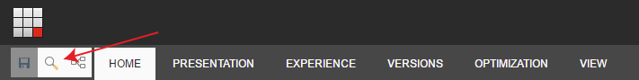 EXPERIENCE EDITOR SEARCH BUTTON